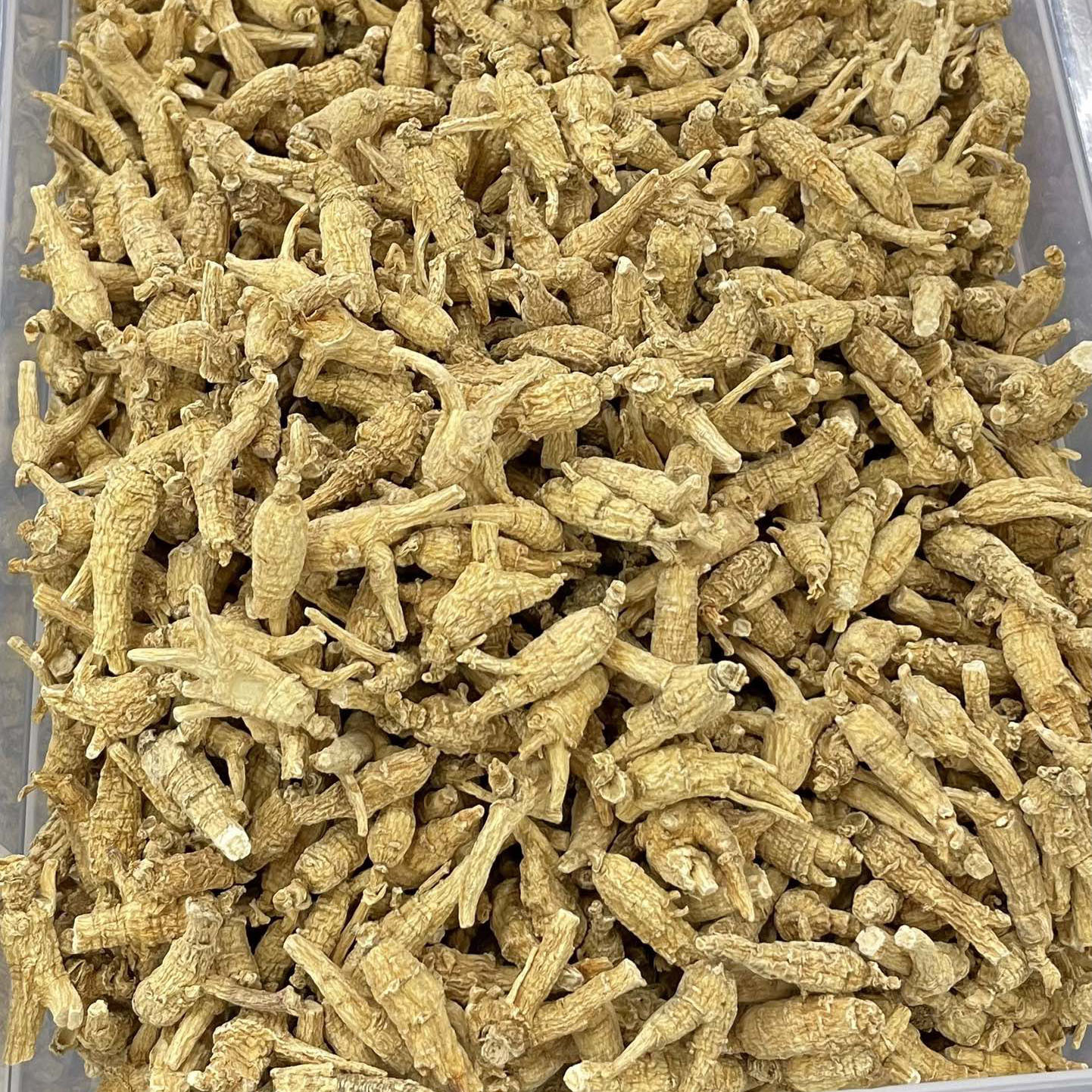 Canadian American Ginseng Hua Qi Shen 250g Whole Small Round Roots for Soup and Tea - Image 3