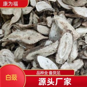 Bai Lian Root (Ampelopsis japonica) — Dried Chinese Herb, Sliced or Powdered