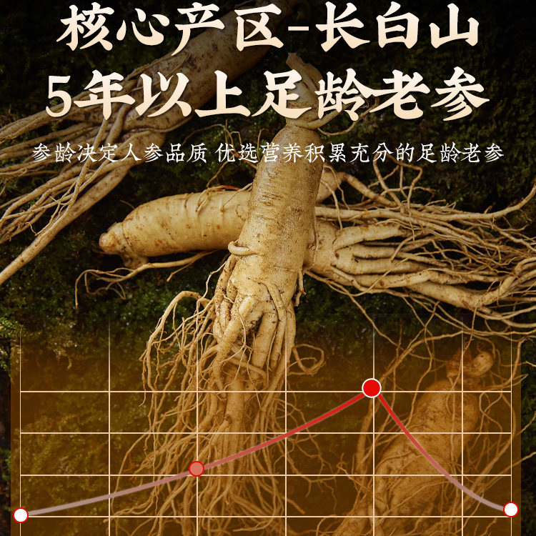 American Ginseng Slices Xi Yang Shen 500g Premium Dried Root Slices for Tea and Infusions - Image 2