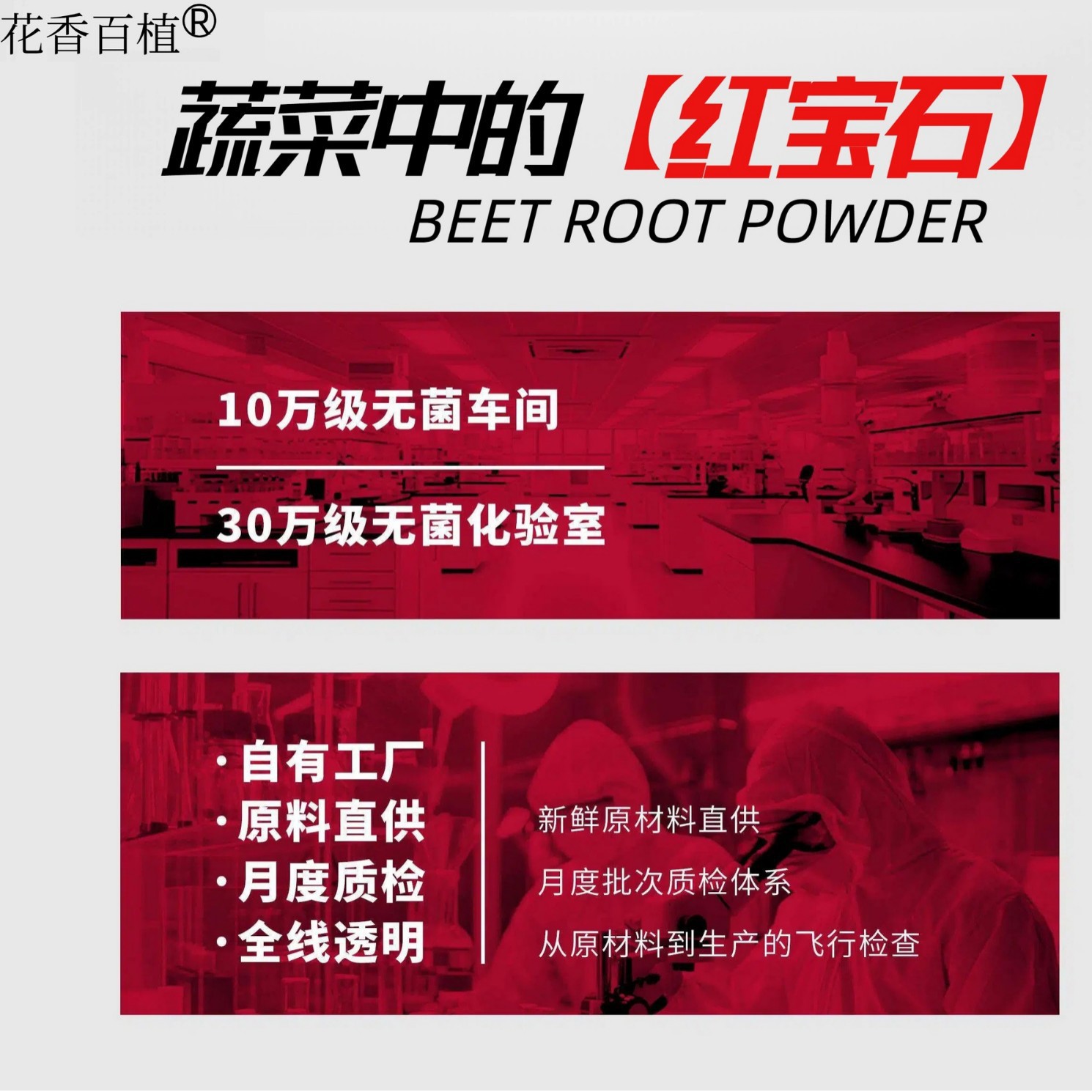 Pure Beetroot Powder 60g Stick Packs Natural Dietary Fiber Drink Mix for Fitness Meal Replacement - Image 2