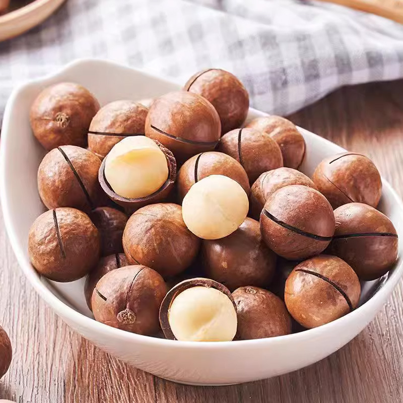 Macadamia Nuts (Macadamia integrifolia) — Creamy Jumbo Raw Food Nut, 500g - Image 4