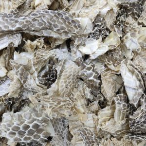 She Tui (Snake Slough) — Dried Shed Snake Skin, Traditional Chinese Herb, 500g