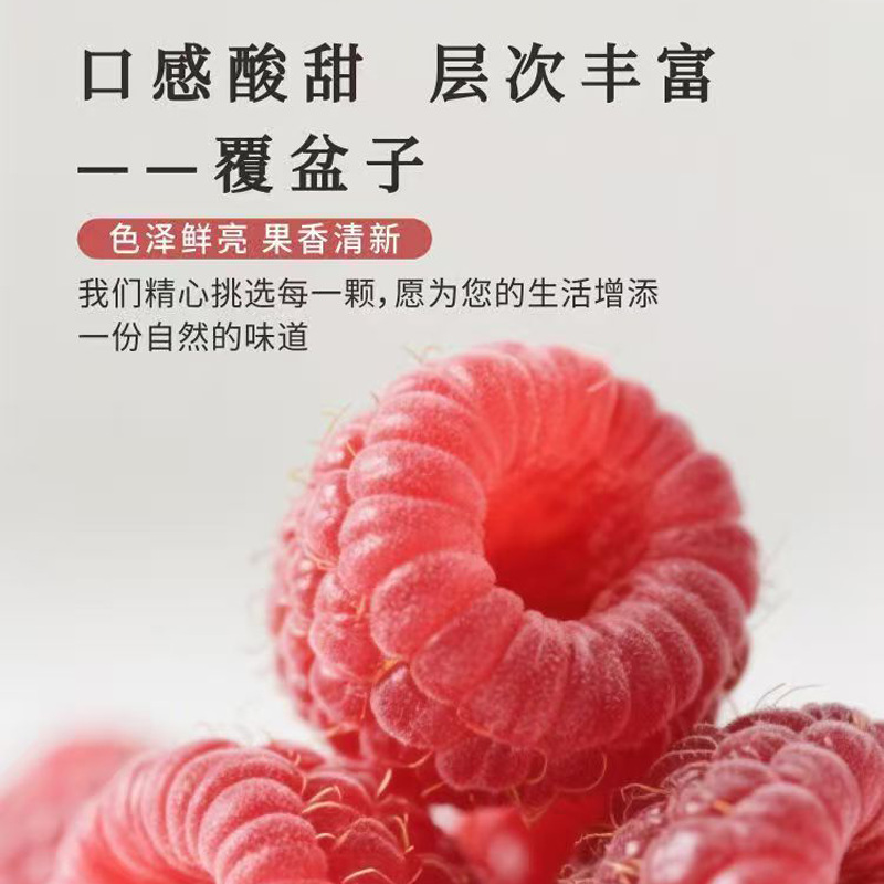 Raspberry Paste (Rubus idaeus) — Traditional Herbal Fruit Paste, 300g Jar - Image 3
