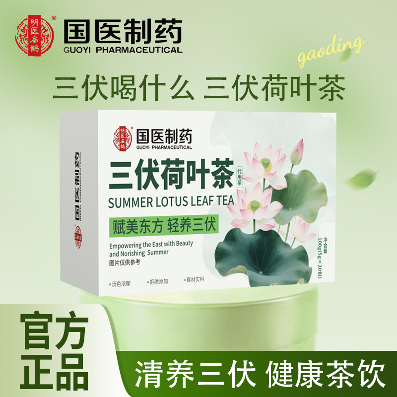 Sanfu Lotus Leaf Tea Bitter Melon Winter Melon Wellness Tea Bags 100g Sugar Free Cold Brew Herbal Blend - Image 2