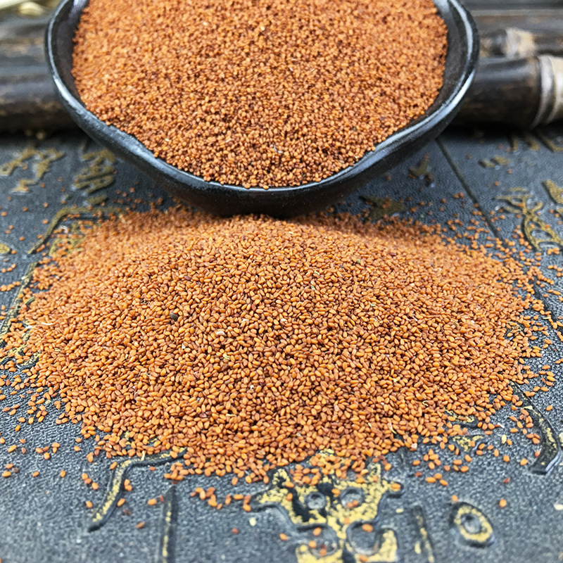 Dried Ting Li Zi Seeds Tinglizi Lepidii Semen Traditional Chinese Herb 500g - Image 4
