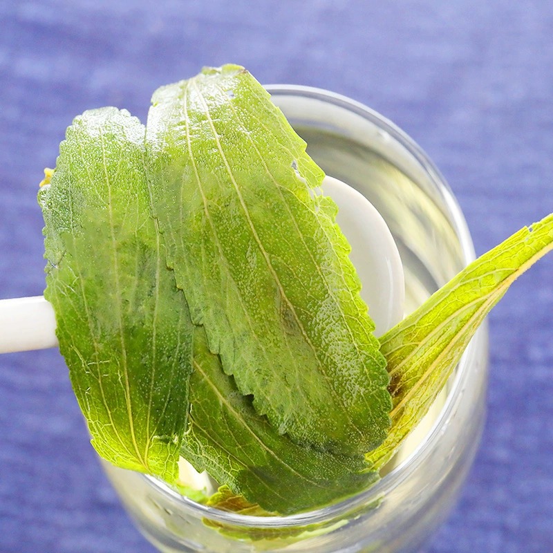 Dried Stevia Leaf Sweet Leaf Herbal Tea 10g Natural Sugar Free Cold Brew - Image 4