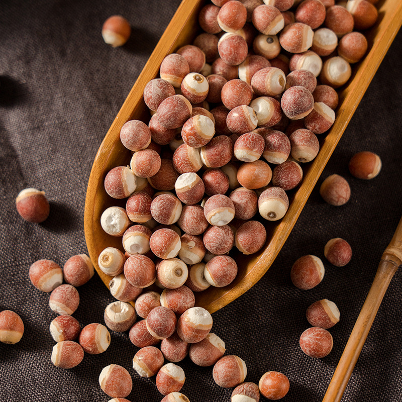 Dried Gorgon Fruit Qian Shi 500g Euryale Ferox Seeds Zhaoqing Grade Raw Herb for Soup Congee and Tea - Image 3