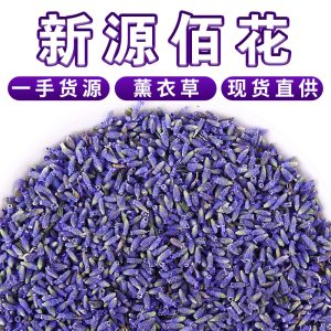 Lavender Dried Flowers (Lavandula angustifolia) — Xinjiang Ili Loose Herb for Pillows, Sachets & Teas