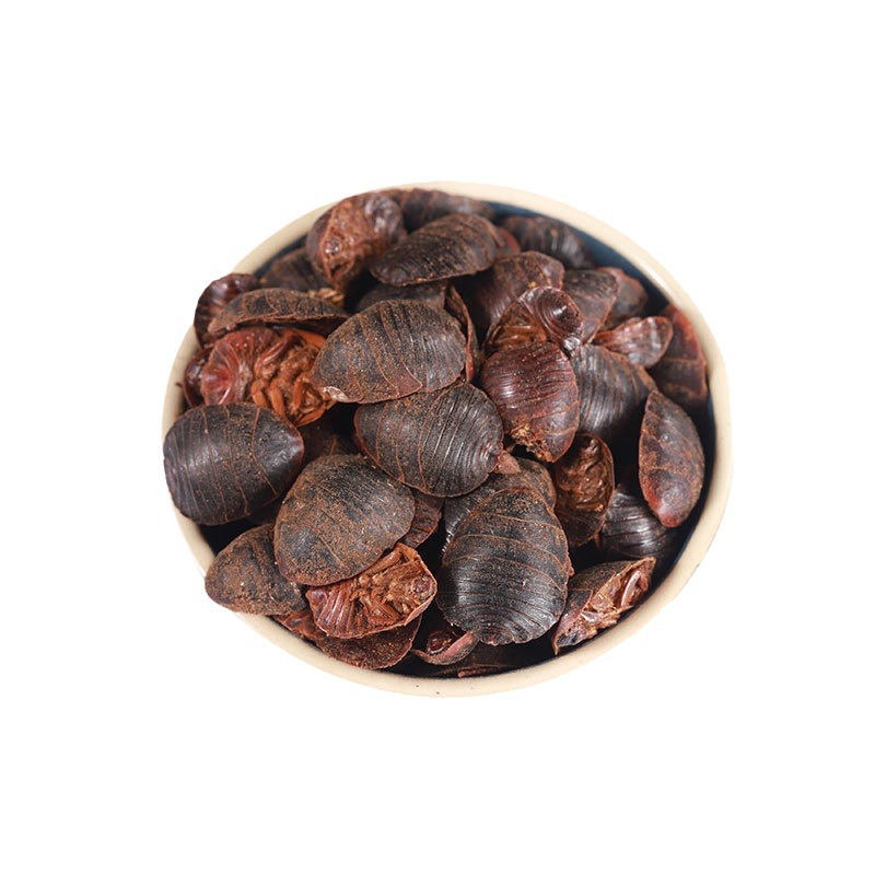 Tu Yuan (Eupolyphaga sinensis) — Dried Ground Beetle Herb, Food-Grade, Powder Available - Image 5