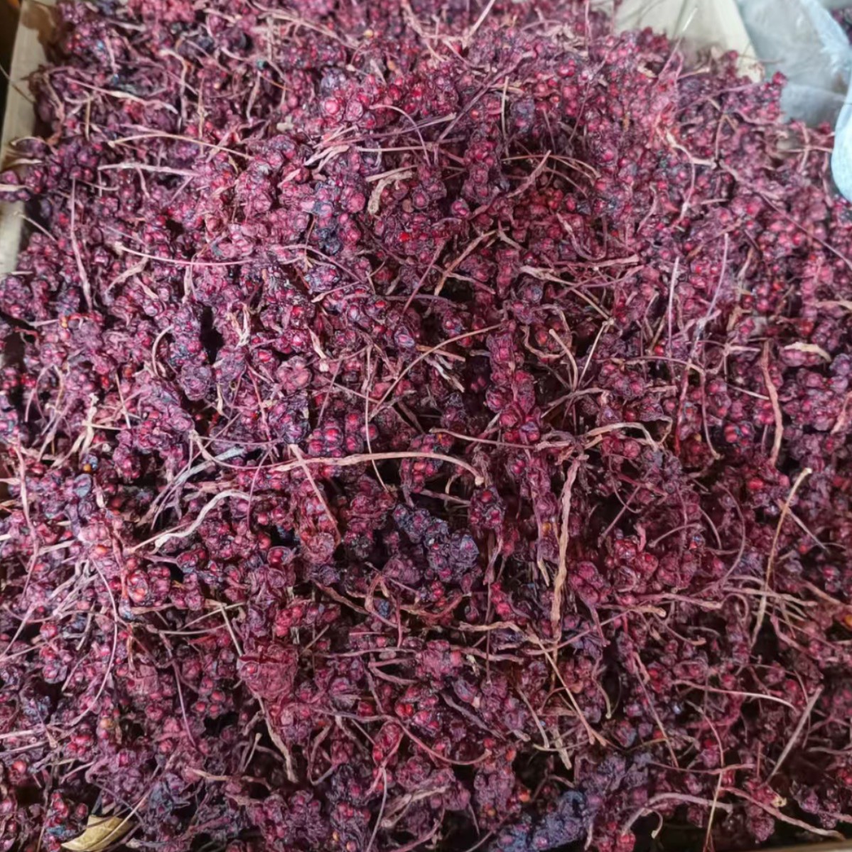 Dried Schisandra Berry Wu Wei Zi 500g Bagged Fresh Harvest for Tea and Wine Infusion - Image 2