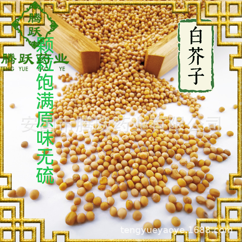 White Mustard Seed Bai Jie Zi 白芥子 Dried Sinapis Alba Seeds Traditional TCM Herb 1kg Bag - Image 3
