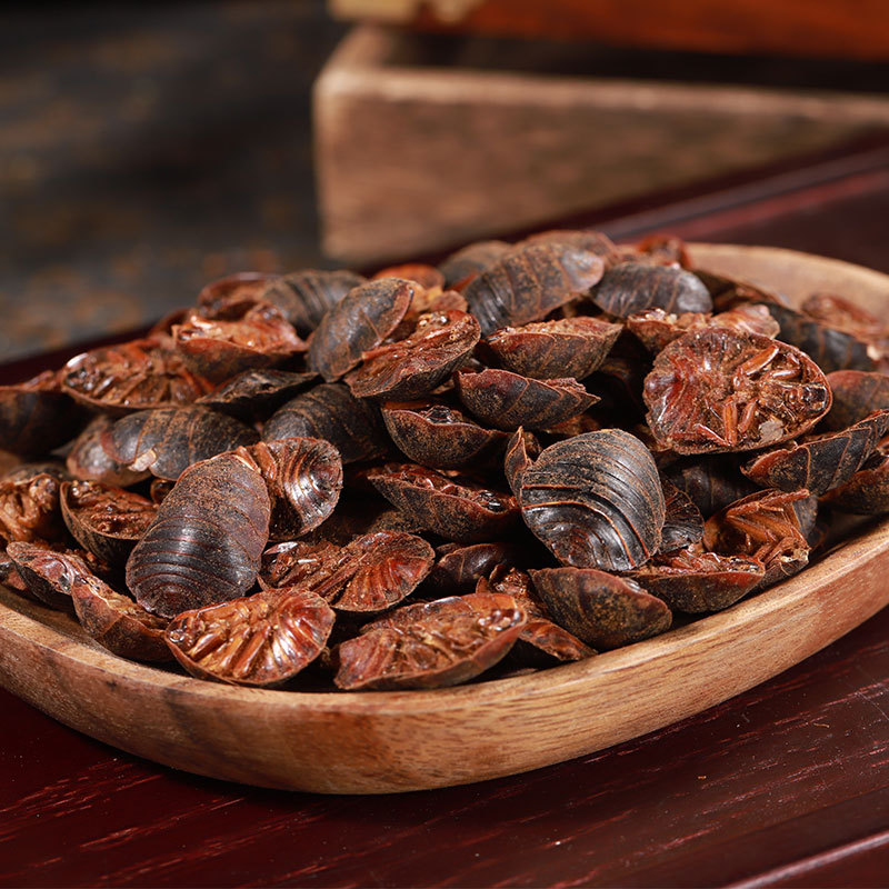 Tu Yuan (Eupolyphaga sinensis) — Dried Ground Beetle Herb, Food-Grade, Powder Available - Image 4