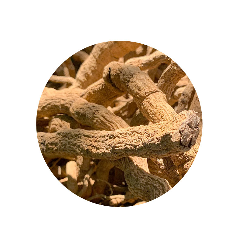 Shan Hu Jiao Root (Lindera glauca) — Dried Food Herb Root for Decoction & Soup - Image 5