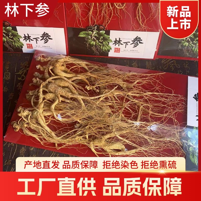 Dried Forest Ginseng Root 200g Sun Dried Jilin Ginseng for Cooking and Decoction - Image 4