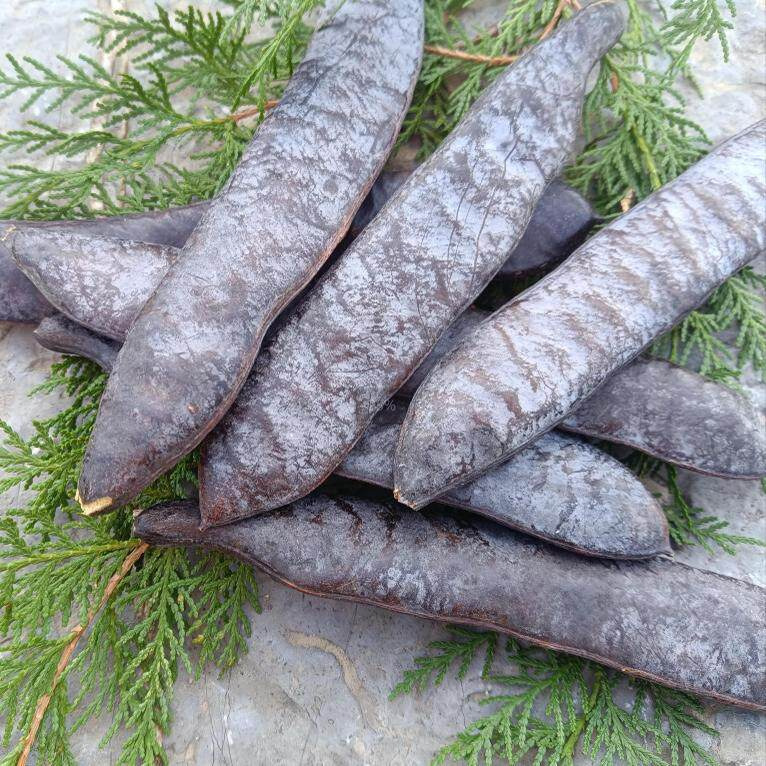 Wild Chinese Honey Locust Pods Zao Jiao Gleditsia sinensis Dried Broken Segments Natural Herbal Cleansing Hair Wash Raw Herb - Image 3