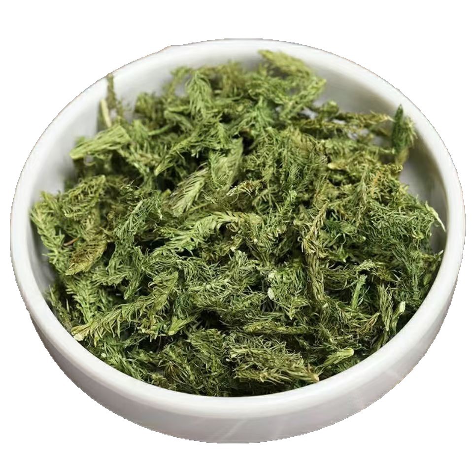 Shen Jin Cao Dried Clubmoss Whole Herb 500g Bulk Sichuan Origin Traditional TCM Ingredient - Image 5