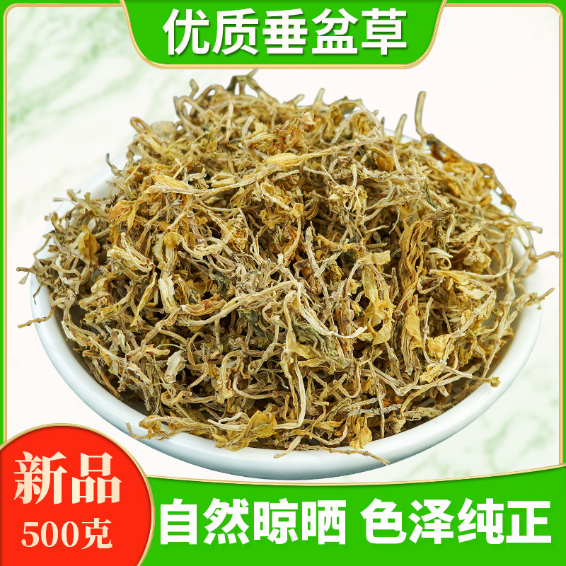 Dried Sedum Herb Chui Pen Cao 500g Wild-Crafted Whole Plant for Tea and Decoction - Image 2