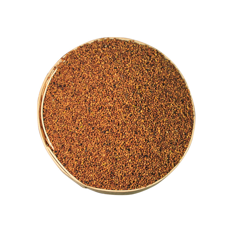 Cuscuta Seed Tu Si Zi 500g Washed Whole Dodder Seeds for Culinary Herbal Use - Image 5