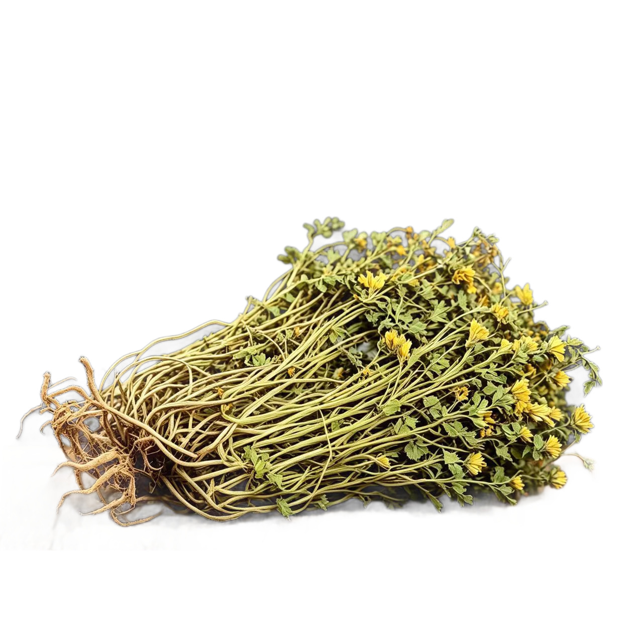 Yan Huang Lian Root (Corydalis saxicola) — Dried Bitter Food Herb for Cooking & Decoction - Image 5
