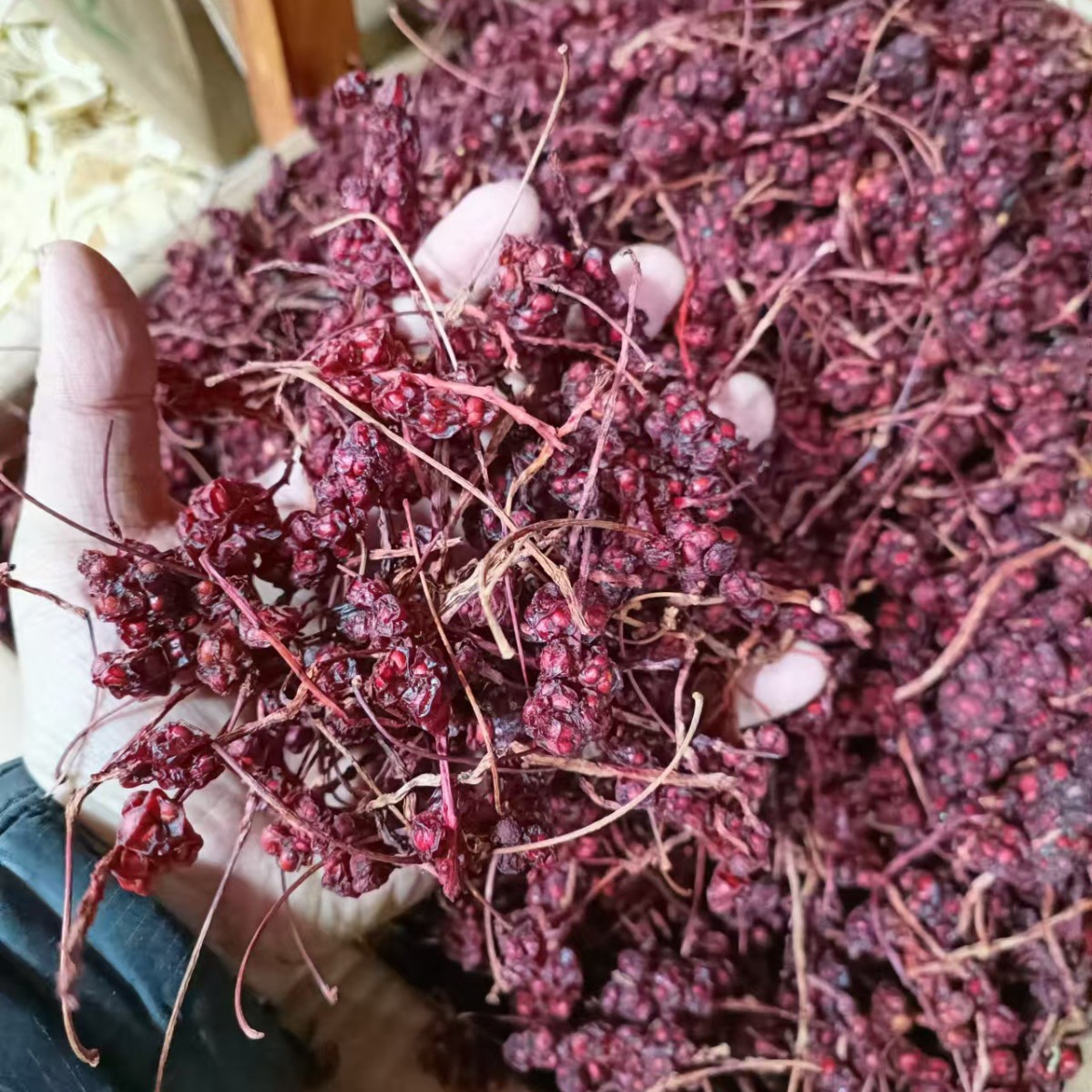 Dried Schisandra Berry Wu Wei Zi 500g Bagged Fresh Harvest for Tea and Wine Infusion - Image 4