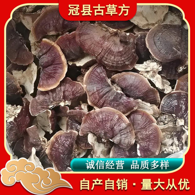 Jin Bian Lingzhi Reishi Mushroom Dried Whole Fruiting Body Traditional Herbal Use - Image 3