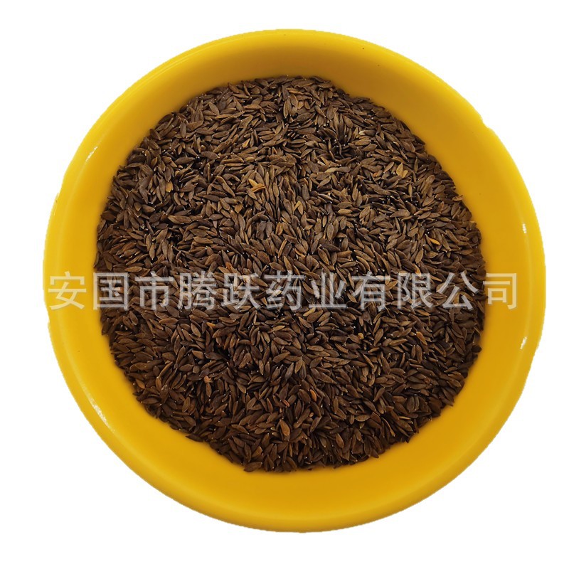 Lettuce Seed Sheng Cai Zi 生菜子 Dried Raw Herb for Decoction 500g Bag - Image 5