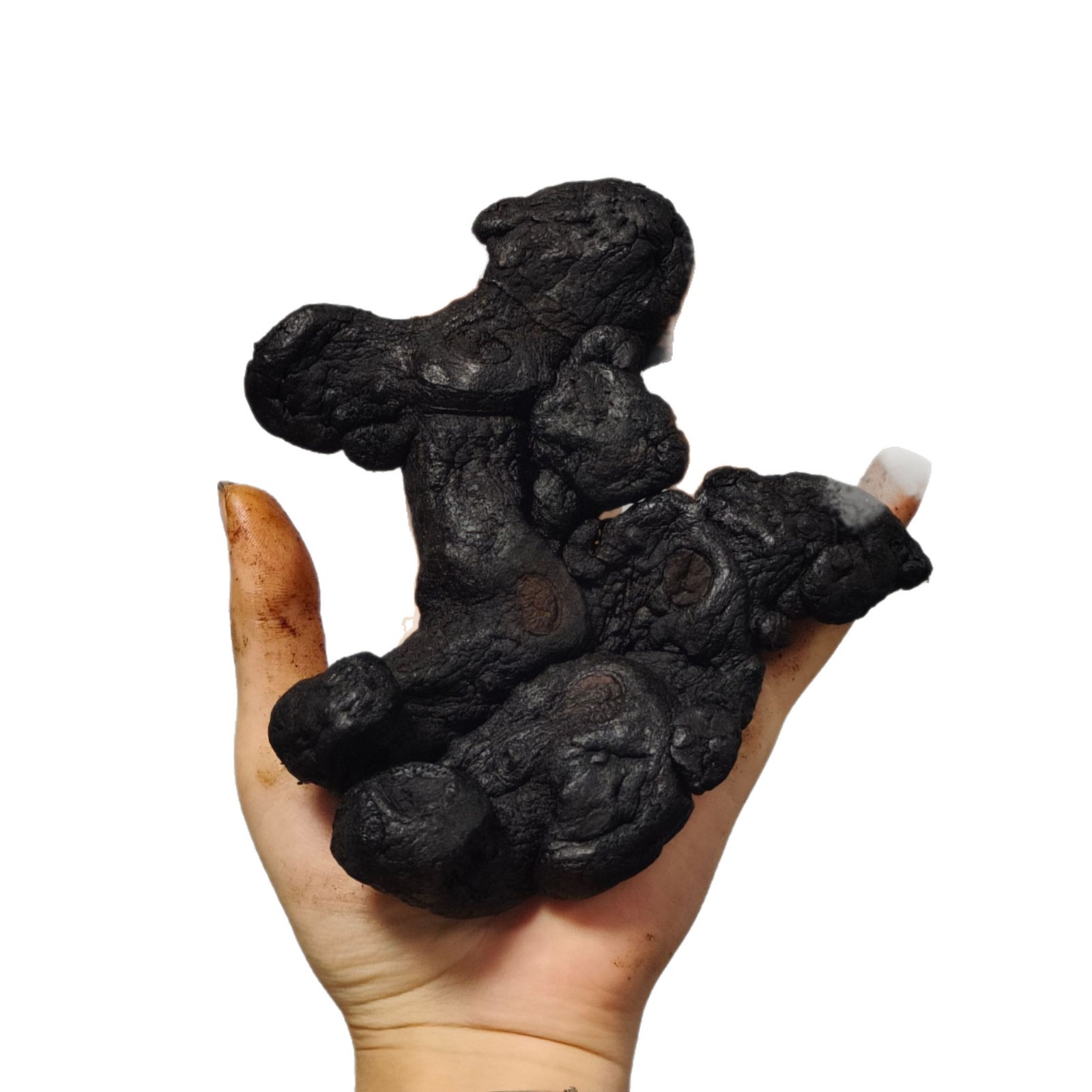 Nine-Steamed Nine-Sun-Dried Huang Jing Polygonatum Whole Rhizome 500g Traditional TCM Tonic Herb - Image 5