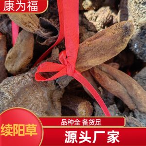 Xu Yang Cao (Ding Tian Zhu / Hui Chun Cao) — Dried Food Herb for Wine & Tea Infusion