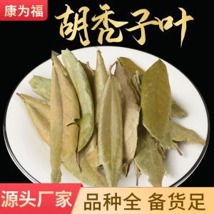 Hu Tui Zi Ye (Elaeagnus pungens Leaf) — Dried TCM Herb Leaf, 500g