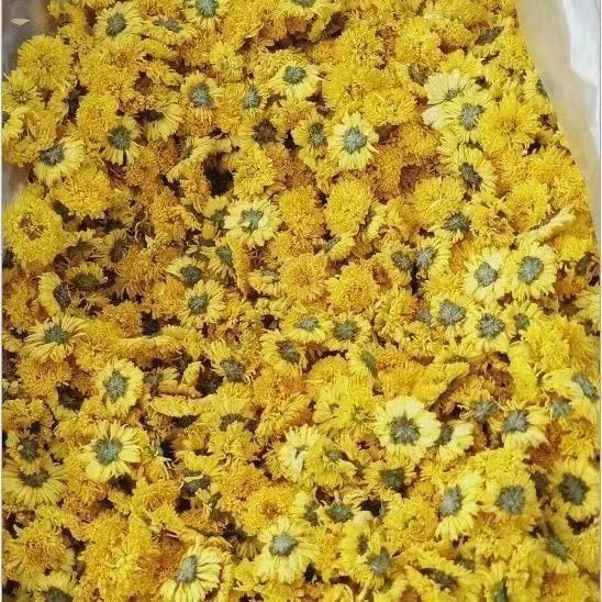 Yellow Chrysanthemum Powder Huang Ju Hua Fine Herbal Powder 500g for Tea and Face Masks - Image 2