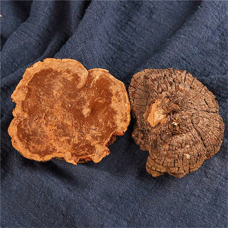 Dried Huai Er Mushroom 500g Trametes Gibbosa Traditional Chinese Herb for Decoction and Soup - Image 3
