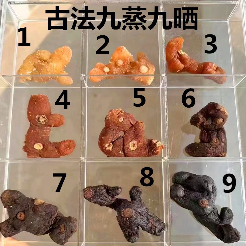 Nine-Steamed Nine-Sun-Dried Huang Jing Honey Slices 100g Bottle Jiuhua Mountain Polygonatum - Image 4
