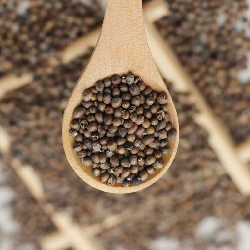 Huang Jing Zi (Vitex negundo) — Dried Fruit Seeds, Food Herb for Tea & Soup - Image 2