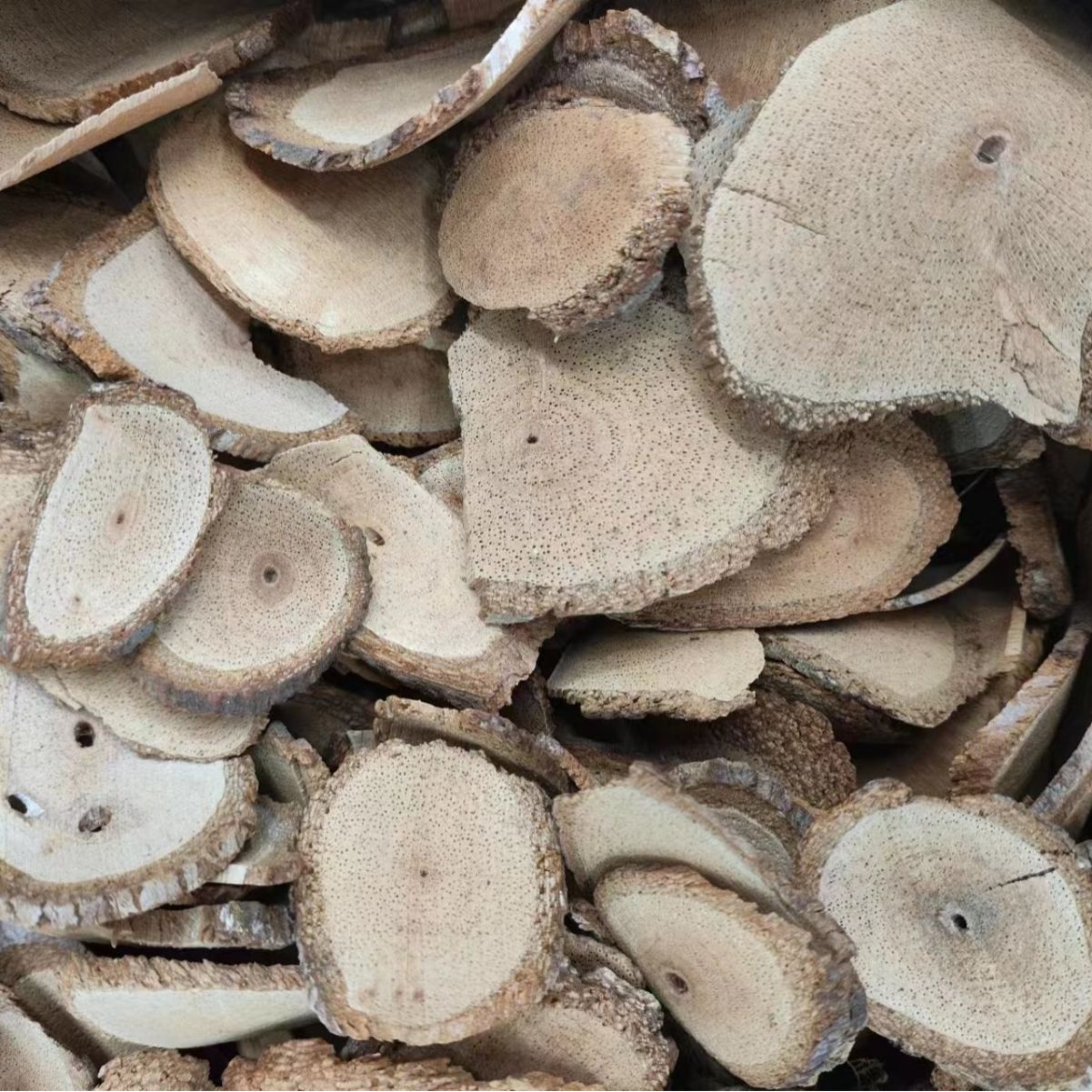 Teng Li Gen (Actinidia arguta Root) — Dried Kiwi Vine Root, 500g Herbal Decoction Piece - Image 3