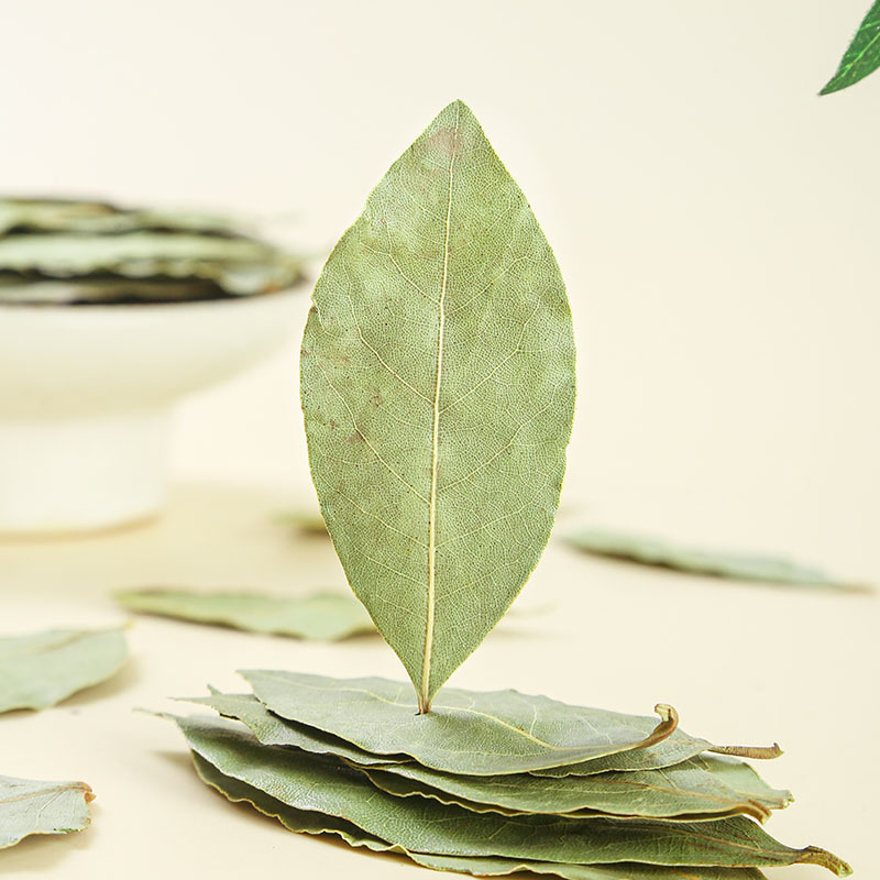 Xiang Ye (Laurus nobilis) — Dried Bay Laurel Leaves, First-Harvest Guangxi Culinary Herb, 500g - Image 3