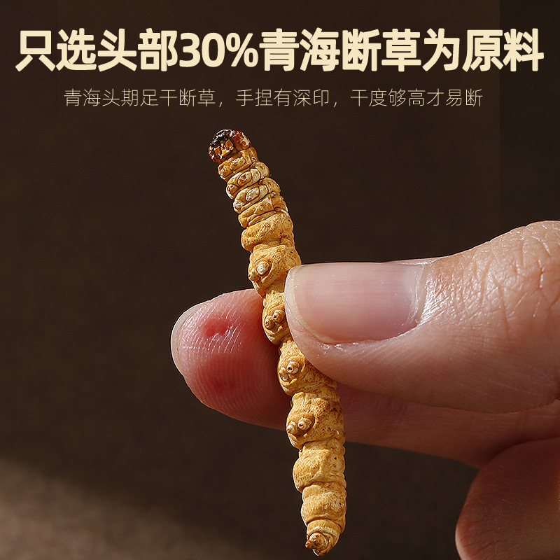 Dried Cordyceps Broken Stems 20g Jar Chinese Herbal Cordyceps sinensis for Cooking - Image 2