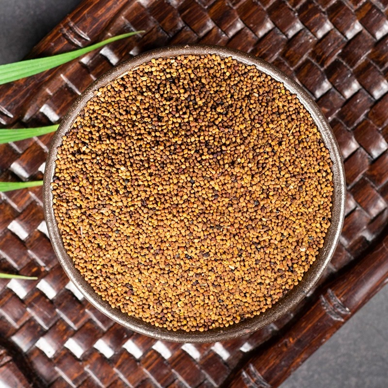 Dried Dodder Seed Tu Si Zi 500g Whole Herb for Tea Wine and Decoction Use - Image 3
