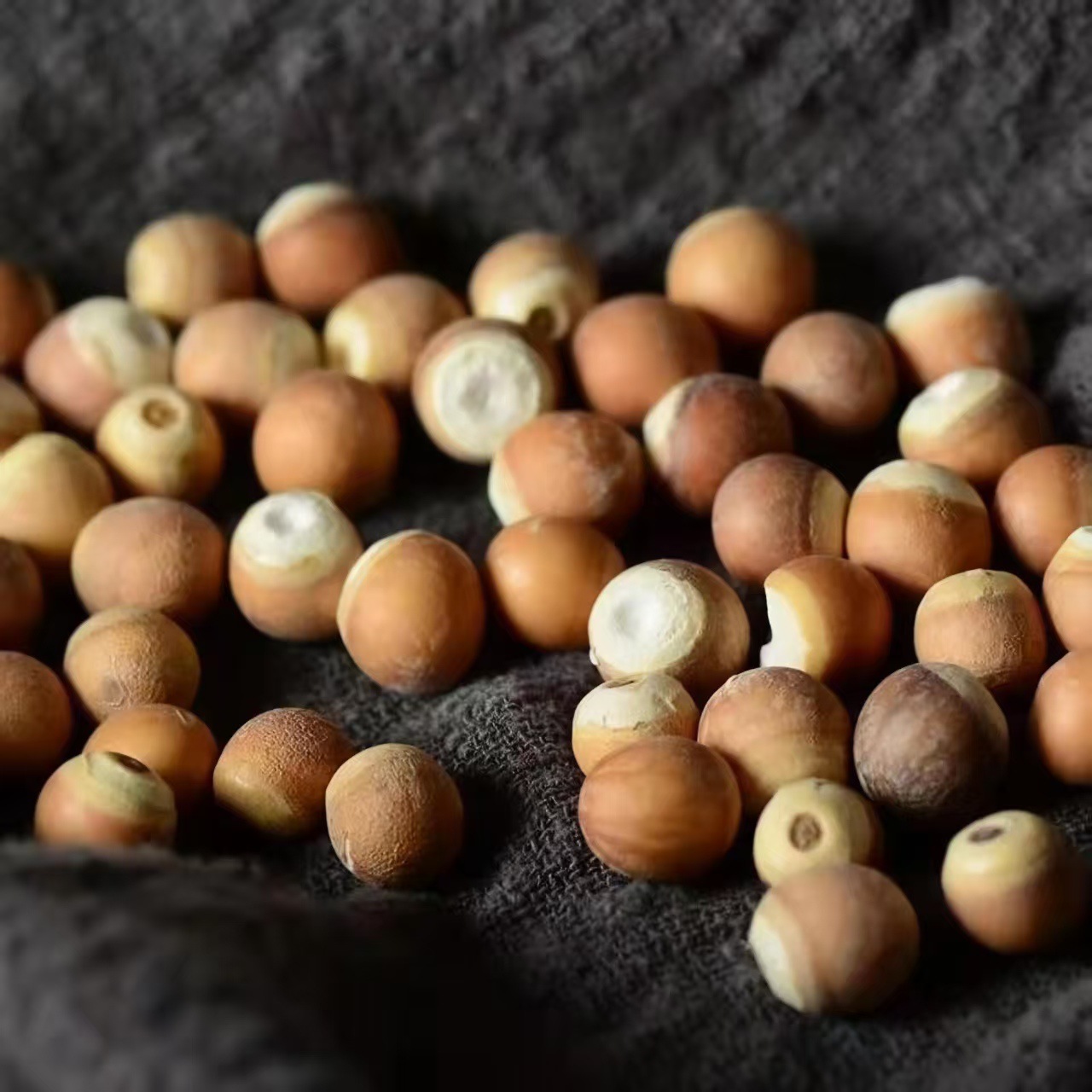 Qian Shi (Euryale ferox) Dried Gorgon Nut — Zhaoqing Origin Food Herb for Soup & Congee - Image 4
