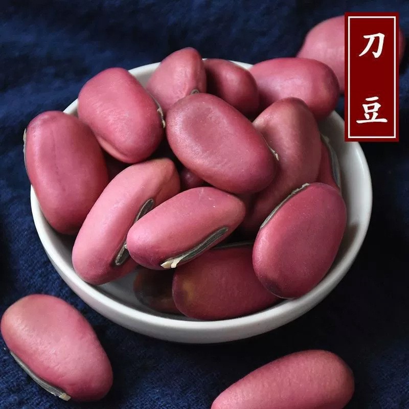 Red Sword Bean Seeds (Canavalia gladiata) — Dried Food Herb, 500g - Image 5