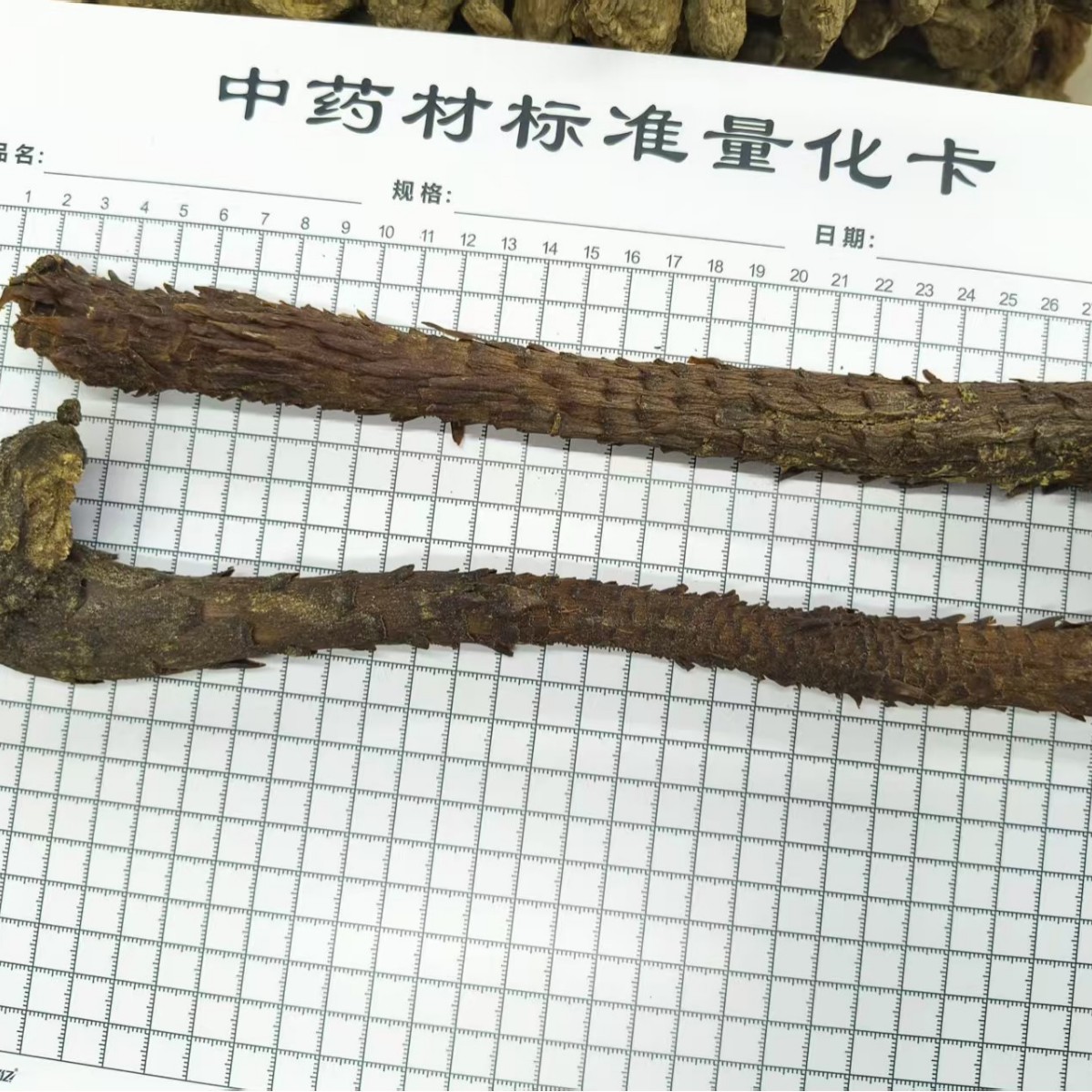 Cistanche Deserticola Rou Cong Rong Oil-Processed Slices 500g TCM Kidney Yang Tonic Herb - Image 4