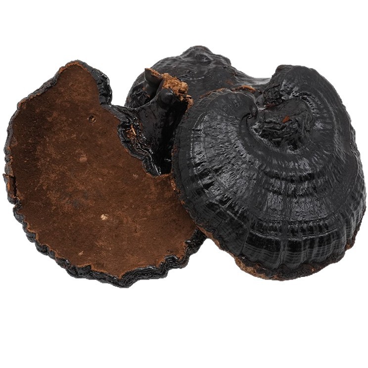Black Lingzhi Whole Dried Reishi Mushroom 500g Changbai Mountain Hei Ling Zhi for Soup and Tea - Image 5