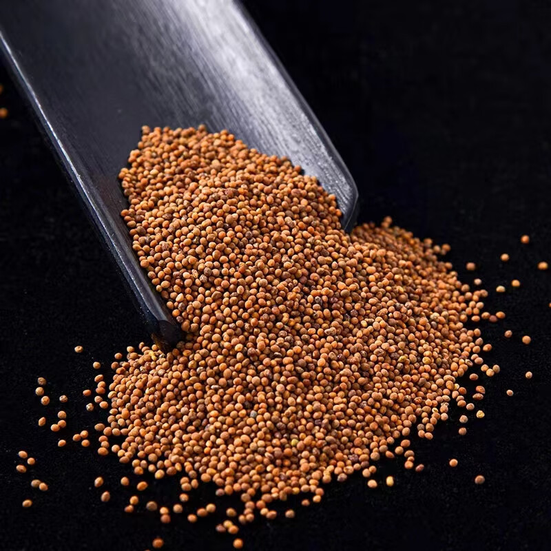 Dried Cuscuta Seed Tu Si Zi 500g Chinese Dodder Seed for Tea and Decoction - Image 3