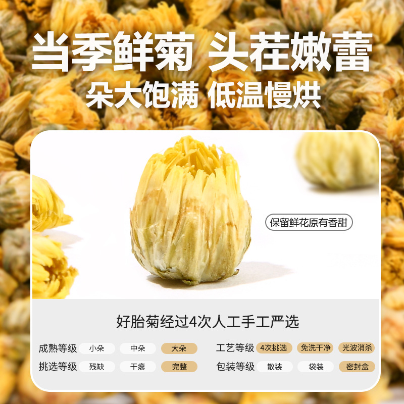 Tai Ju Chrysanthemum Tea Buds 90g Can Dried Taiju Herbal Flower Tea from Zhejiang Tongxiang - Image 2