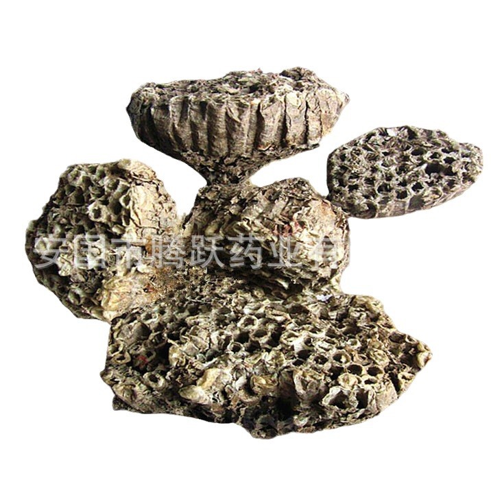 Feng Fang Dried Hornet Nest Whole Beehive Fengfang Traditional Chinese Herb 500g - Image 5