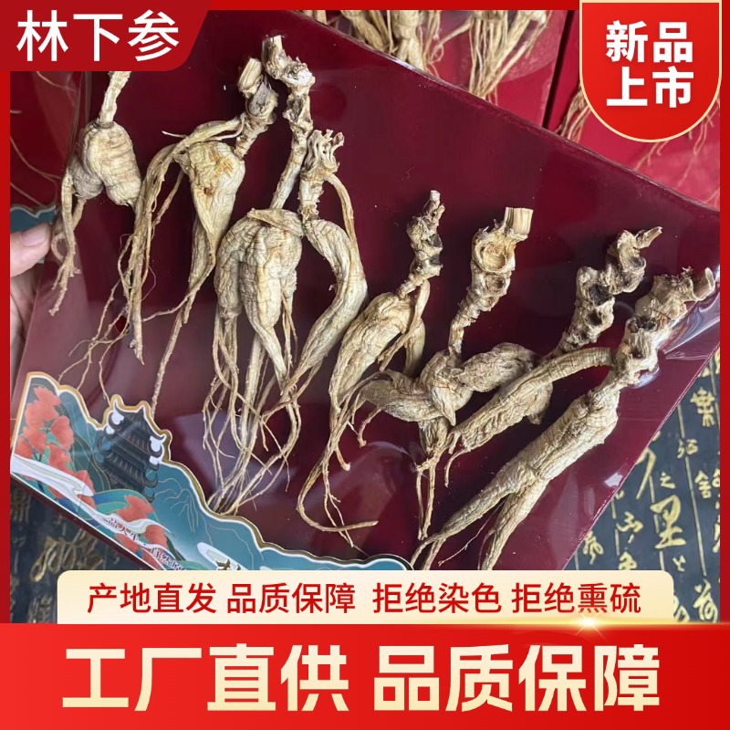 Dried Forest Ginseng Root Slices 50g Wild-Simulated Ginseng for Cooking and Decoction - Image 4