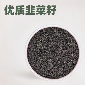 Jiu Cai Zi (Allium tuberosum) Leek Seeds — Dried Food-Herb for Men's Daily Tea