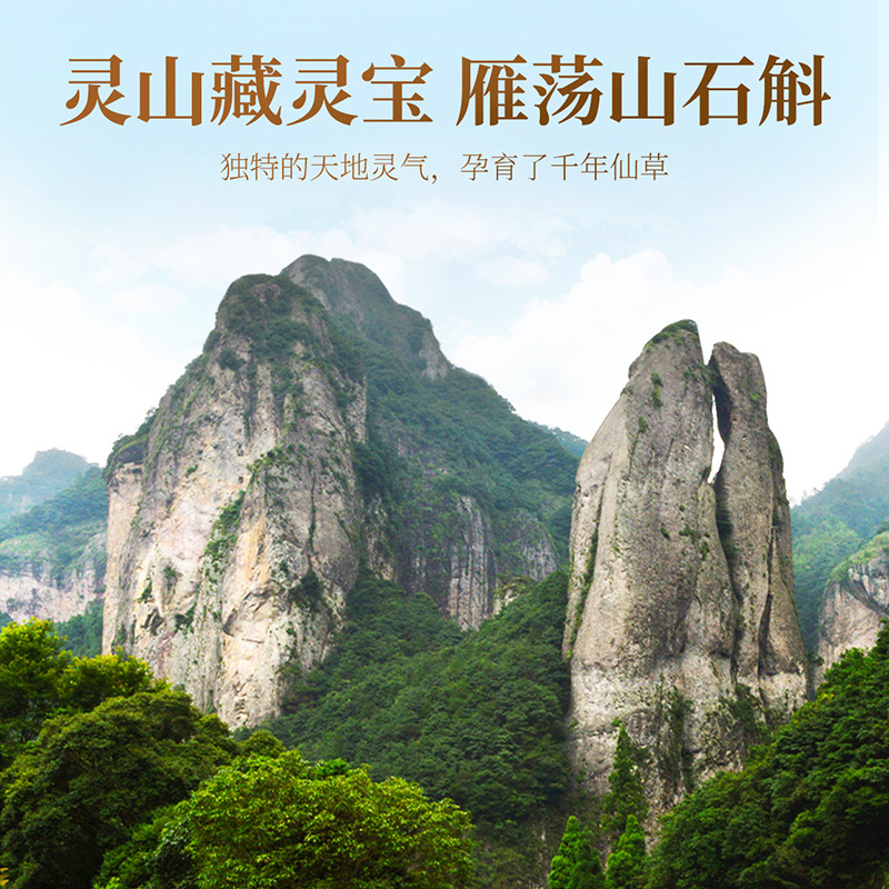 Dried Dendrobium Stem Shihu Fengdou Gift Box 160g Two Jars Five Year Yandang Mountain - Image 3