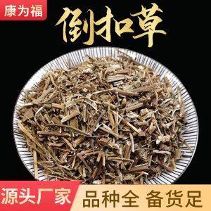 Dao Kou Cao (Achyranthes aspera) — Dried Food Herb, Whole Plant for Decoction & Tea