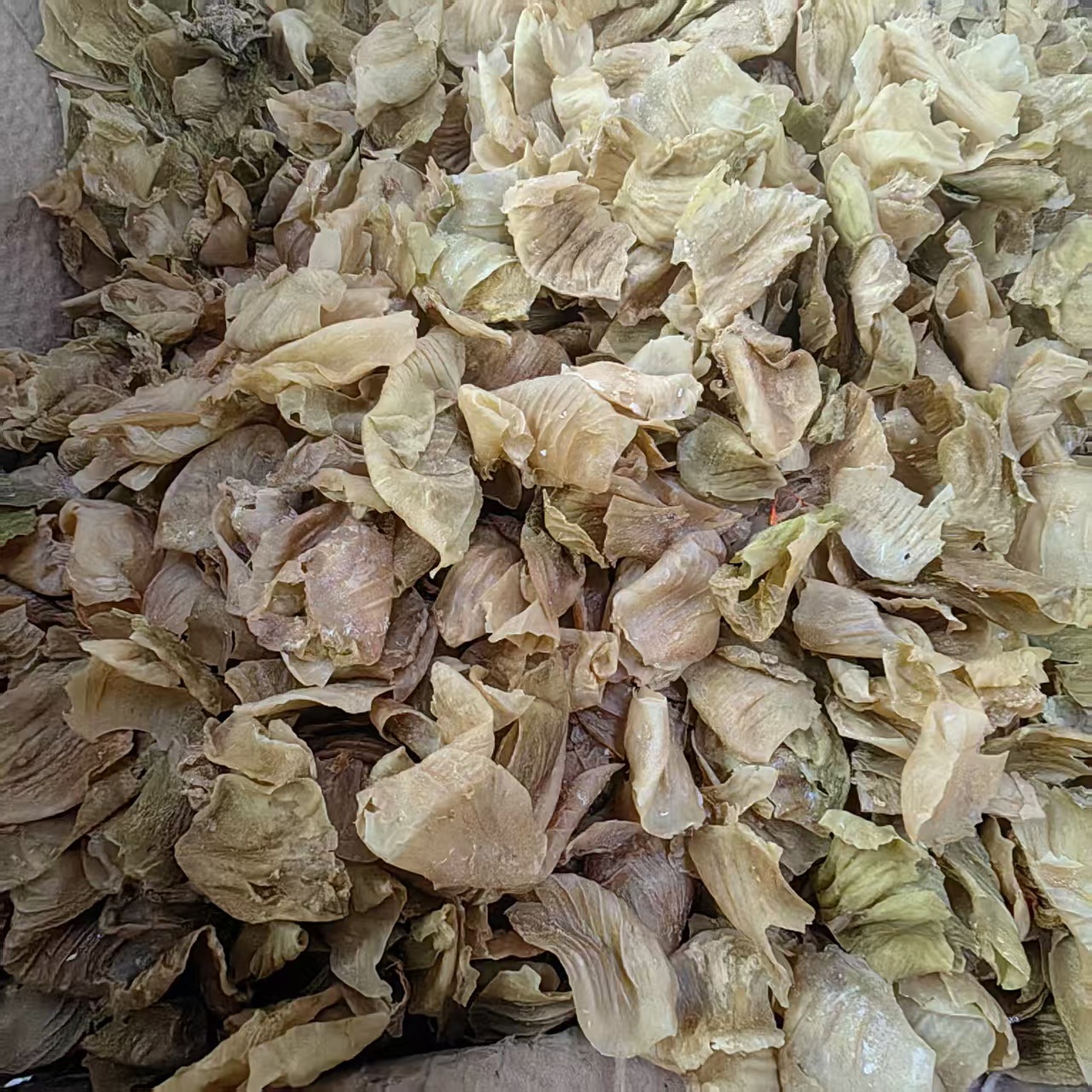 Stir-Fried Chicken Gizzard Membrane Ji Nei Jin Sliced TCM Herb 500g Anhui Origin - Image 4