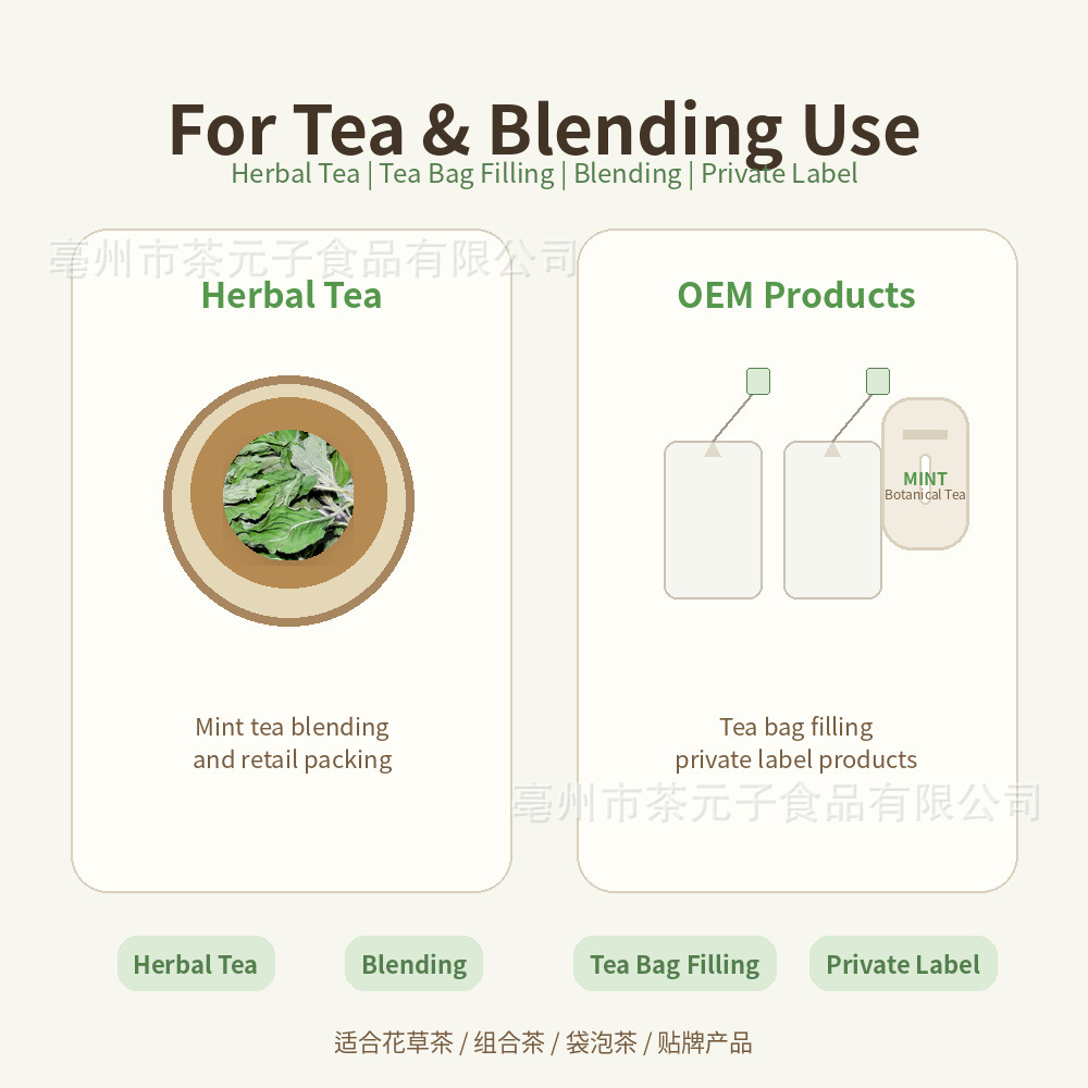 Dried Peppermint Leaf Bo He 薄荷叶 Herbal Tea Ingredient 500g - Image 4
